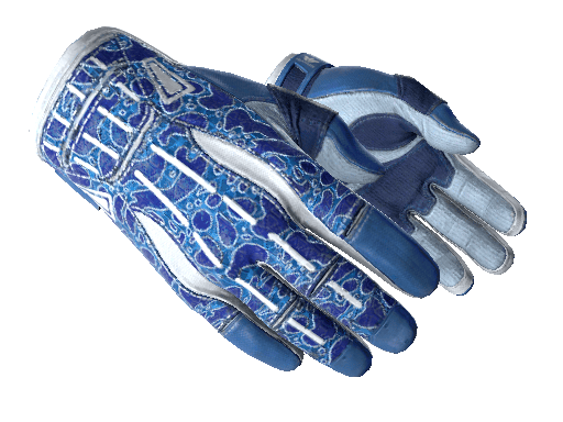 ★ Sport Gloves | Amphibious